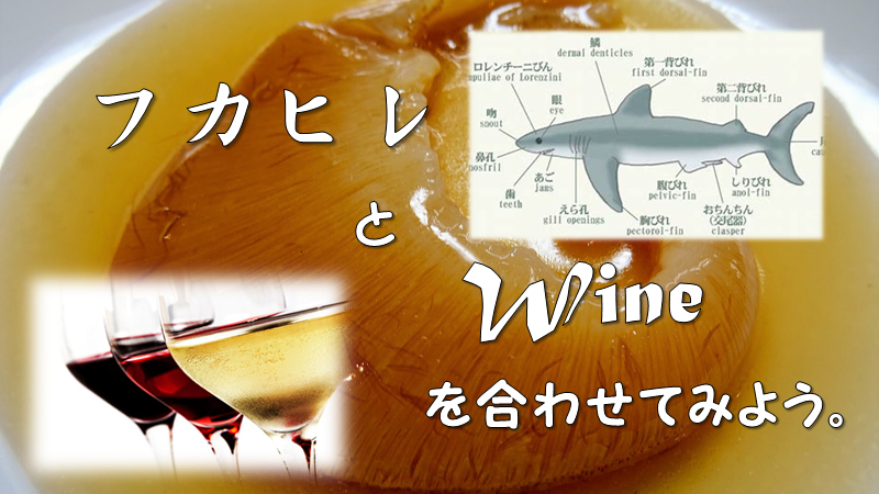 『フカヒレとWineを合わせてみよう。』開催のご案内